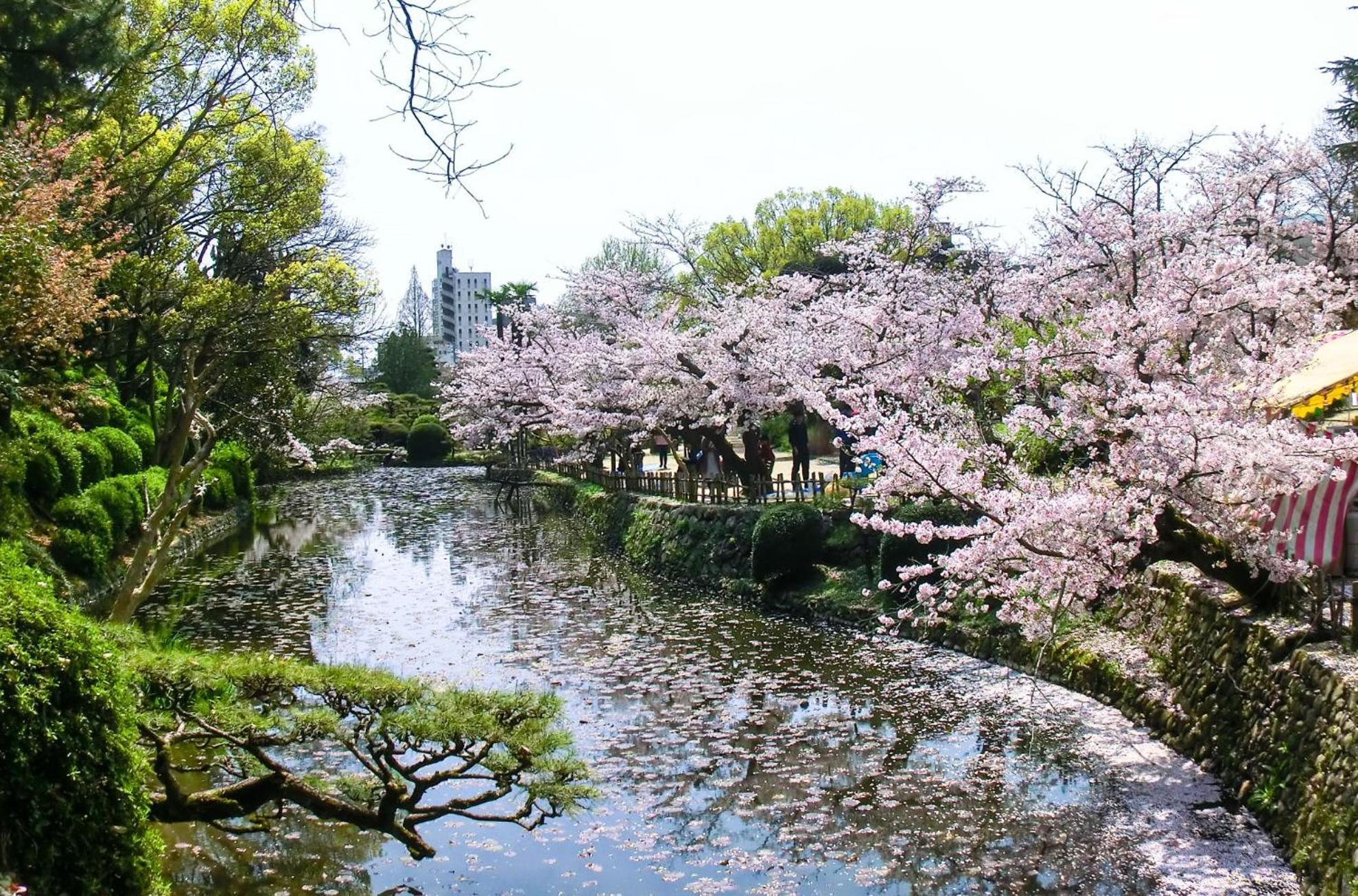 媛楽園 松山中心地及び道後温泉に近い家族やグループ旅行の多人数が泊まれる快適な宿 Exterior photo