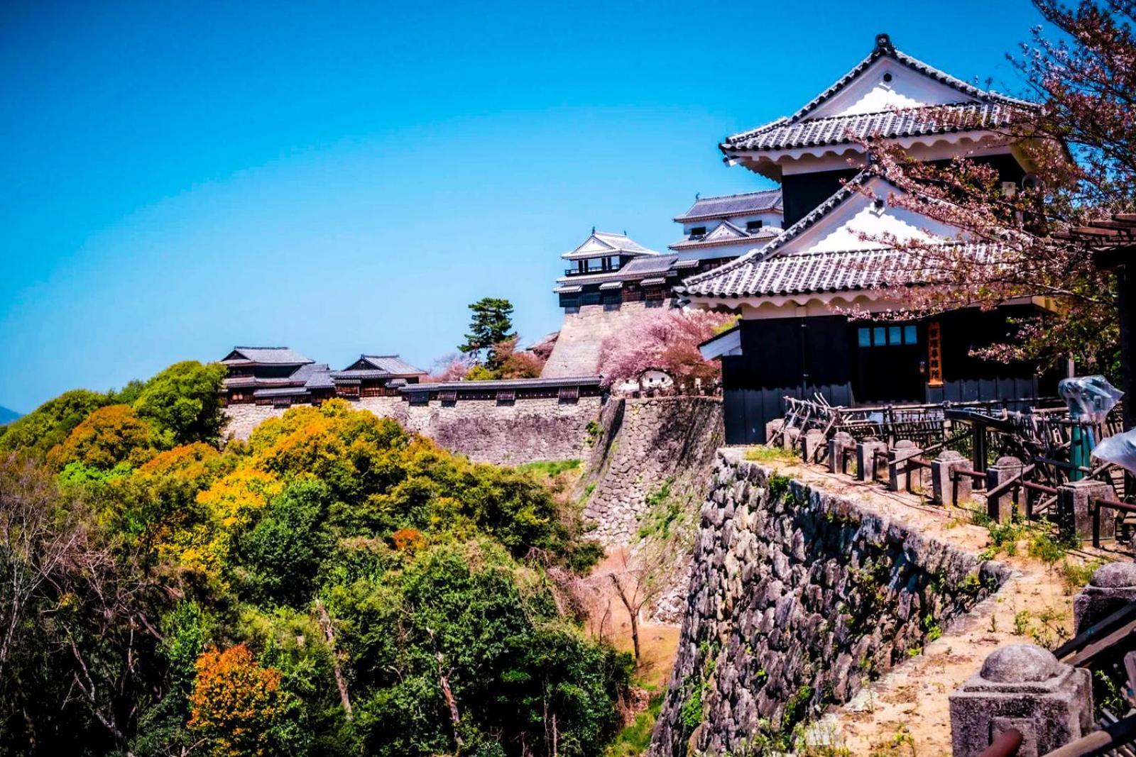 媛楽園 松山中心地及び道後温泉に近い家族やグループ旅行の多人数が泊まれる快適な宿 Exterior photo