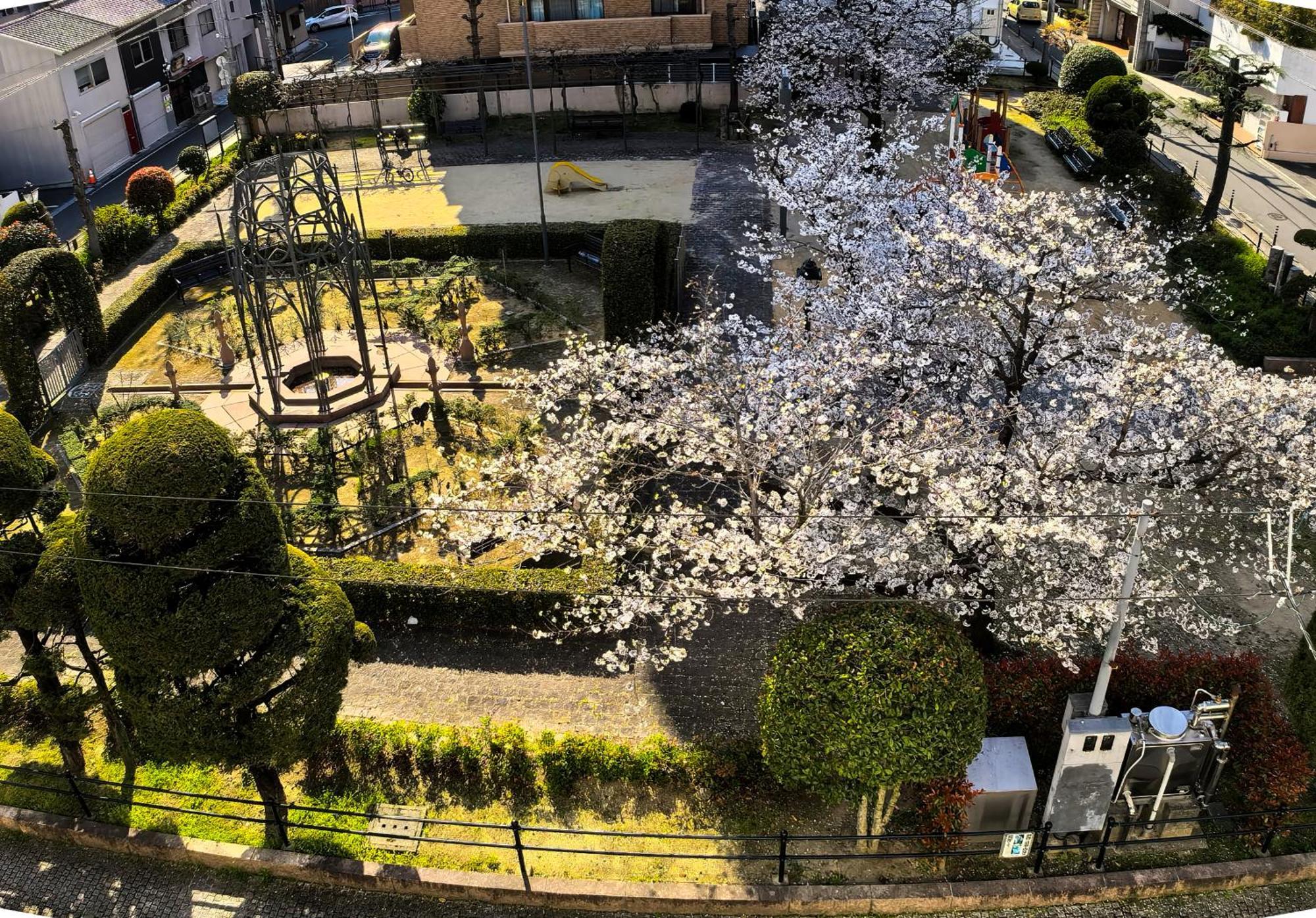 媛楽園 松山中心地及び道後温泉に近い家族やグループ旅行の多人数が泊まれる快適な宿 Exterior photo